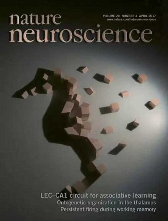 20180327152211781350602872.jpg 3.jpg