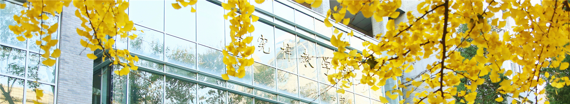 GA黄金甲·(中国区)官方网站